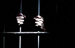 Killers, rapists among dozens in India jailbreak